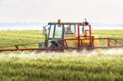 Roundup herbicide is the subject of numerous lawsuits.