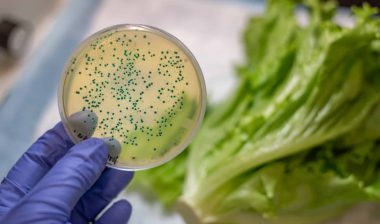 Possible E. Coli contamination leads to romaine lettuce recall.