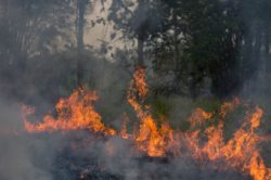 California homeowners insurance companies may not drop clients in areas vulnerable to wildfire.