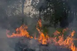 California homeowners insurance companies may not drop clients in areas vulnerable to wildfire.