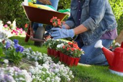 A proposed glyphosate ban in Michigan aims to protect consumers.