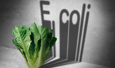 Salad recal impacts consumers who bought a Caesar salad kit by Fresh Express.