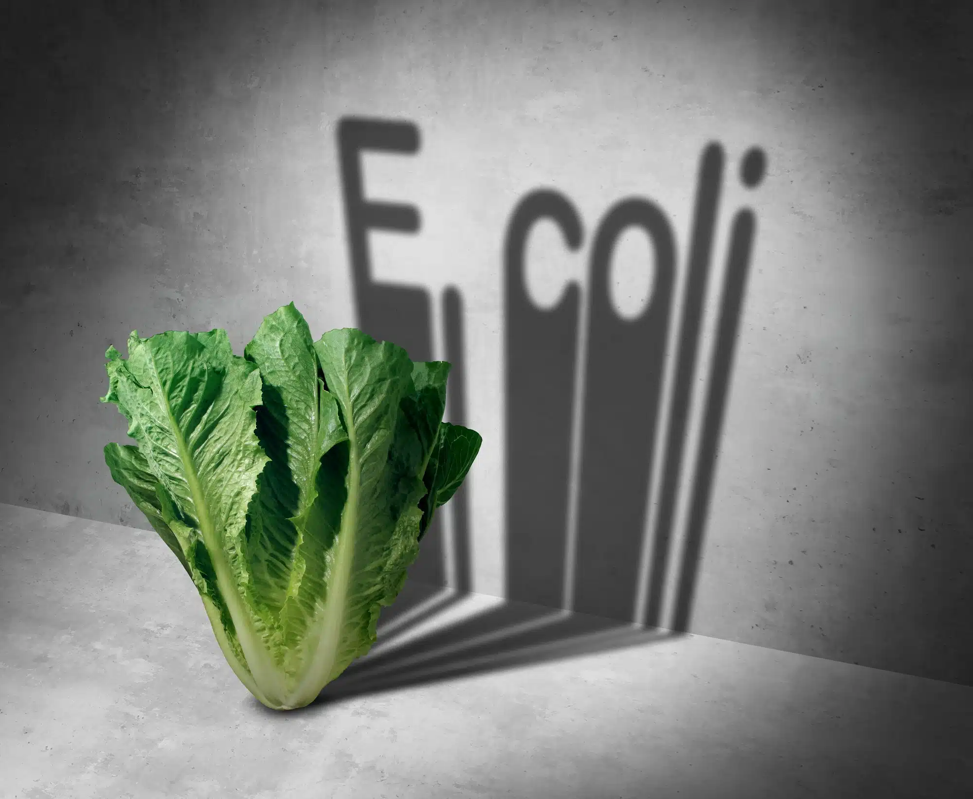 Salad recal impacts consumers who bought a Caesar salad kit by Fresh Express.