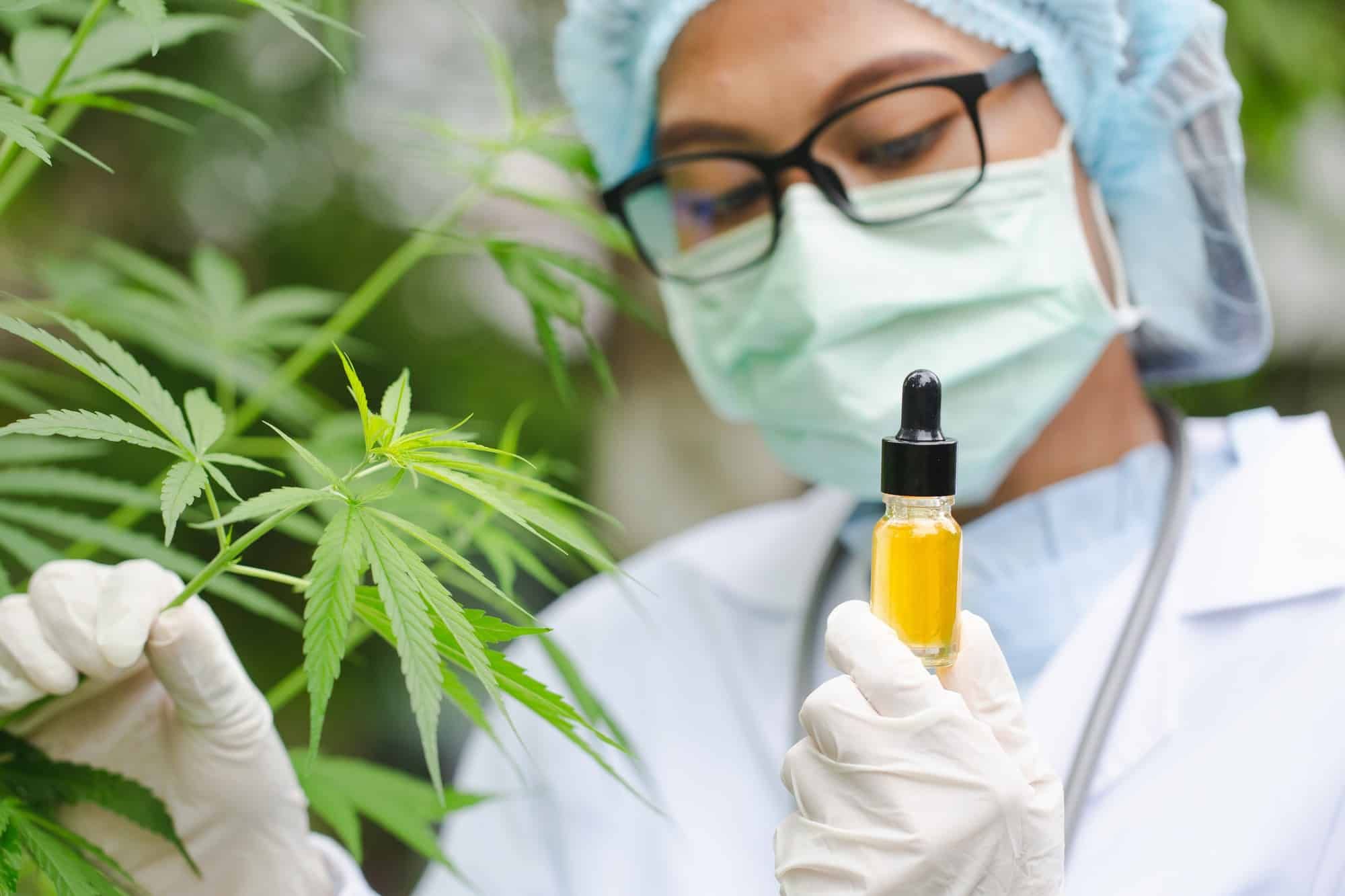 A marijuana dispensary must follow state and federal laws.