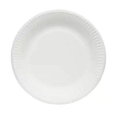 A paper plate - Chinet disposable plates