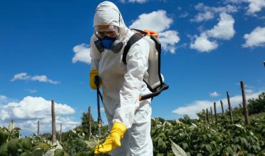 Roundup herbicide is the subject of numerous lawsuits.