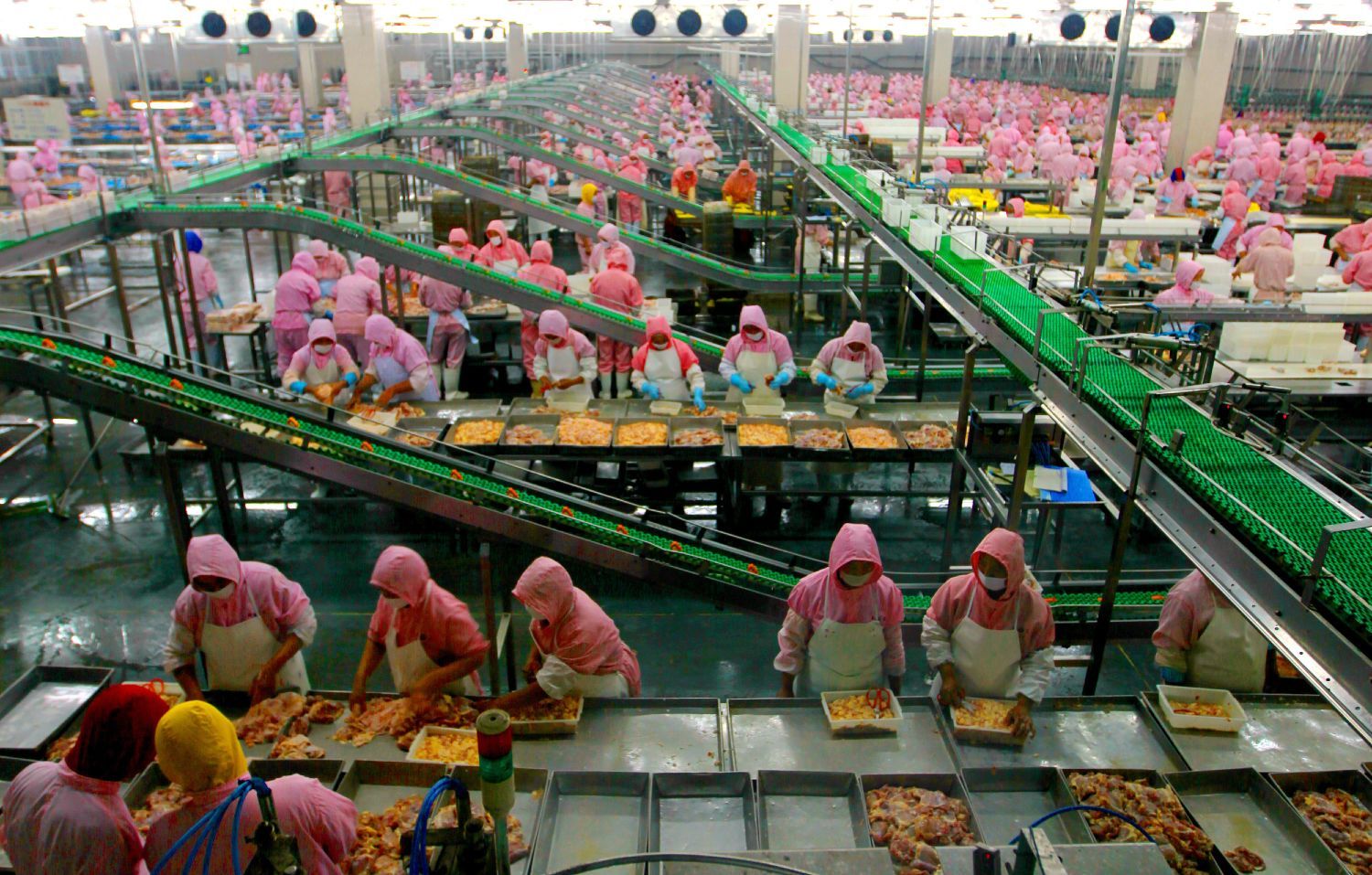 Tyson Foods workers in a Tyson plant