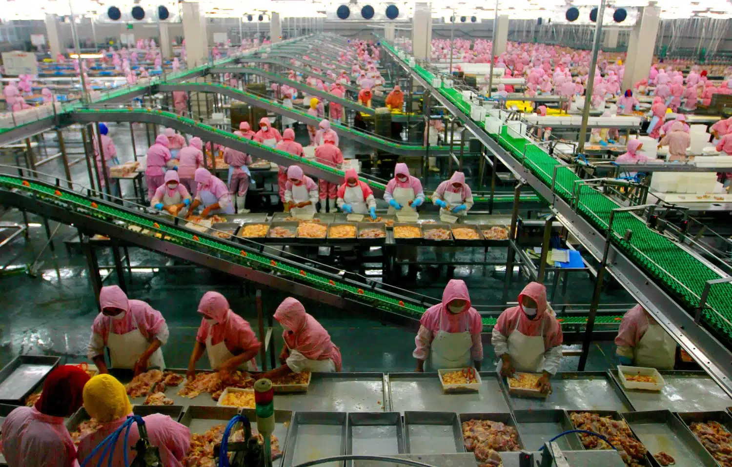 Tyson Foods workers in a Tyson plant