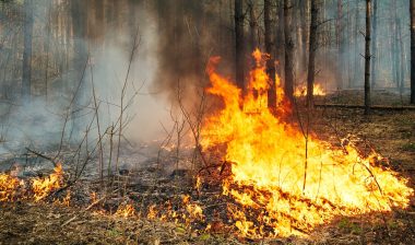 The U.S. Forest Service may have turned down firefighting equipment.