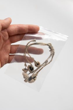 Psilocybin regarding how measure 110 will change Oregon's current laws