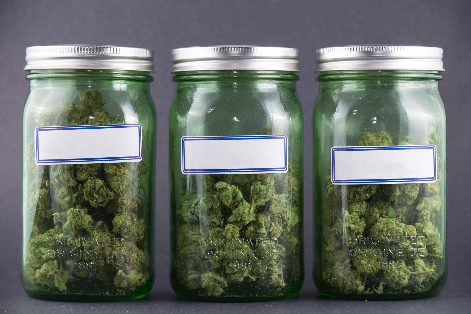 What was the cannabis robocall class action settlement about?