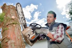 A chainsaw recall has been issued.