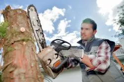 A chainsaw recall has been issued.