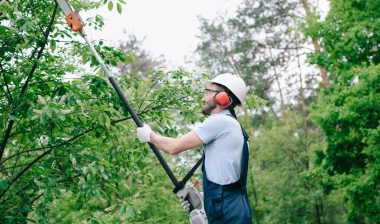 man using pole saw to trim tree