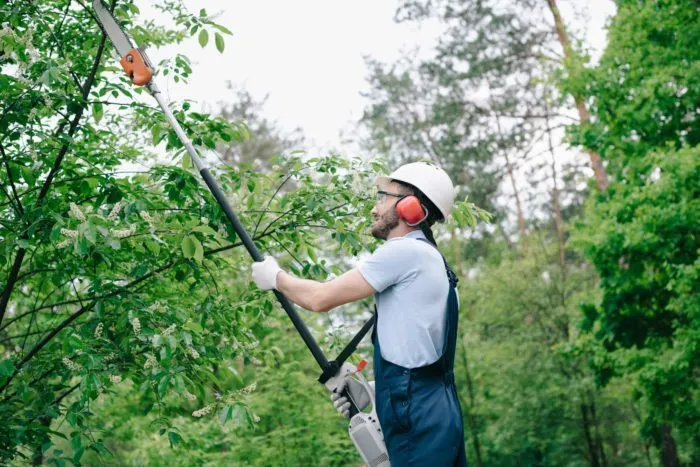 man using pole saw to trim tree