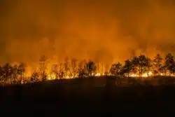 Wildfire relief has been delayed for too long for victims in California.