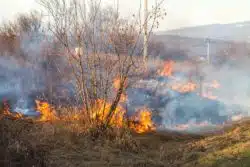 Fire Victim Trust is supposed to help wildfire victims.