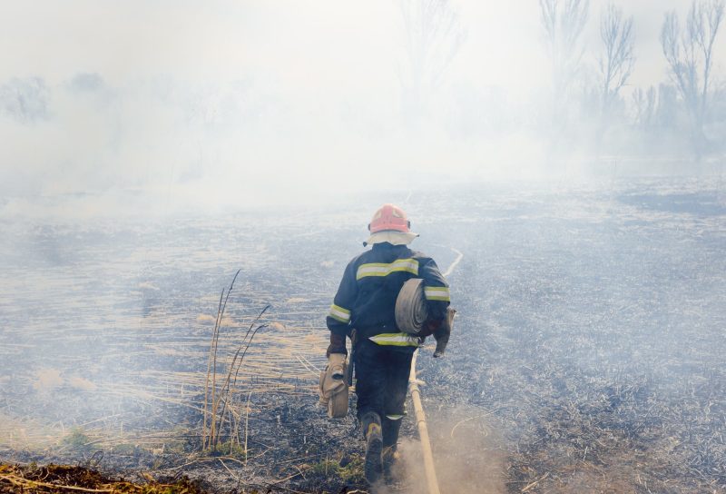 Wildfire relief has been delayed for too long for victims in California.