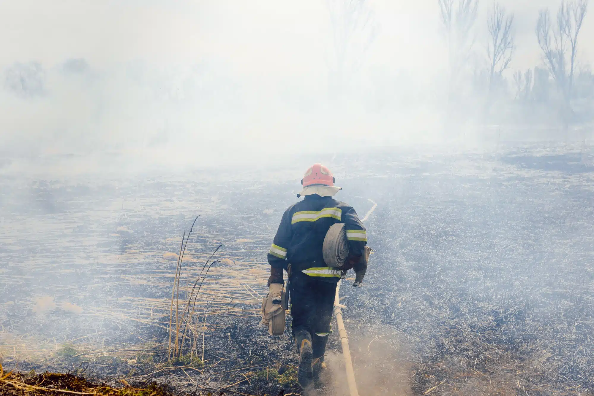 Wildfire relief has been delayed for too long for victims in California.