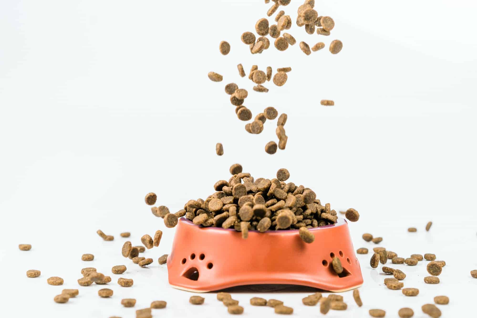 Sportmix Hit with Class Action Lawsuits Over Deadly Dog Food Top