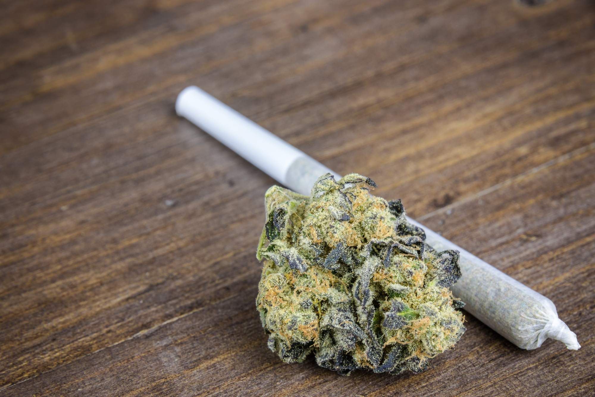 Weed dispensary TCPA lawsuit has been filed.