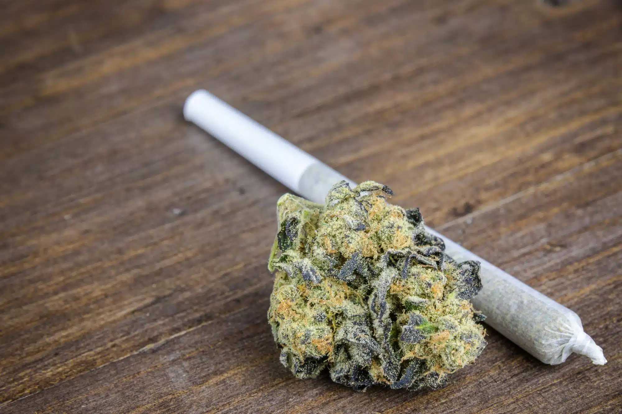 Weed dispensary TCPA lawsuit has been filed.