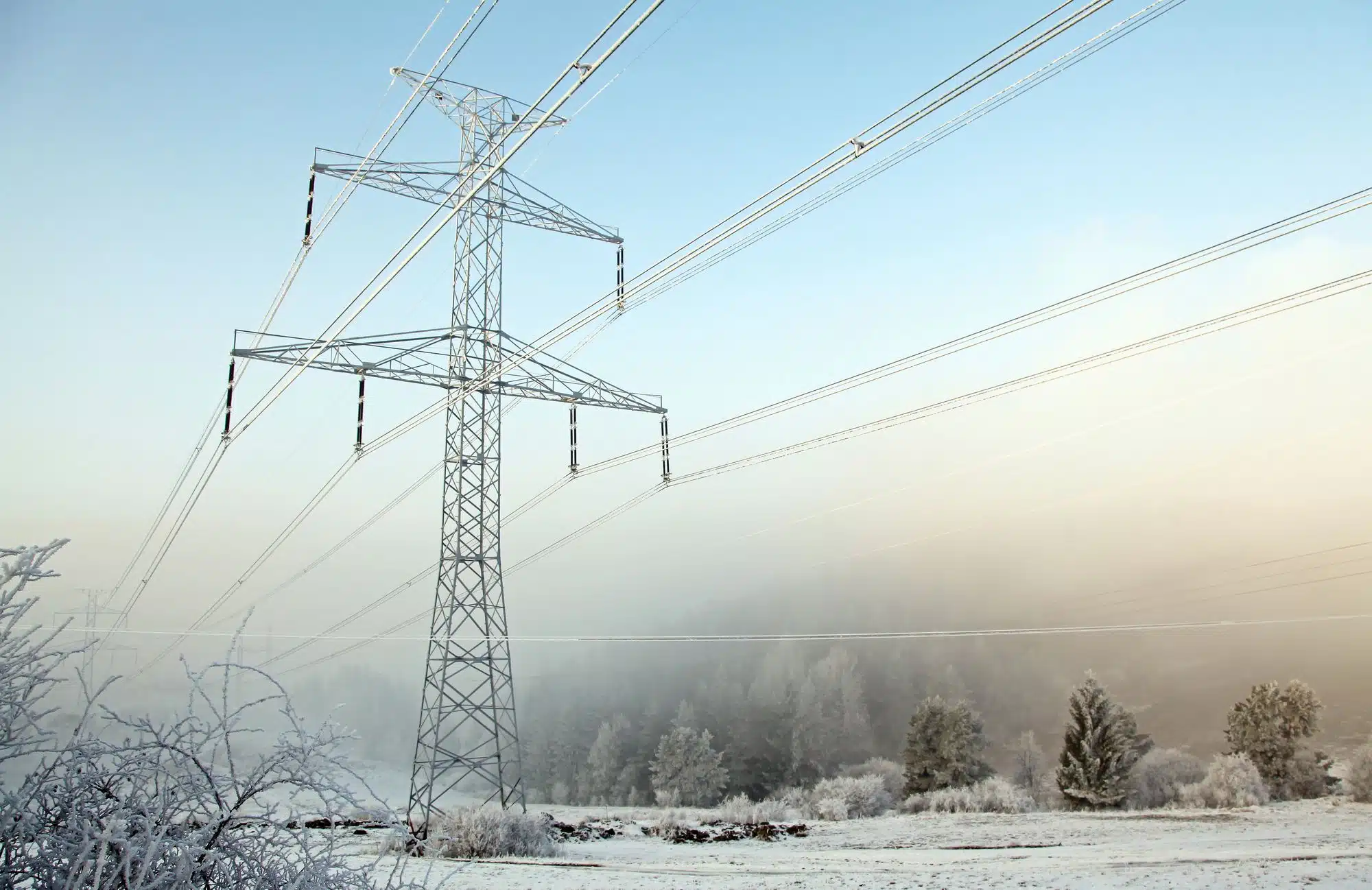 Houston Couple Sues Texas Power Company, ERCOT Over Outages 