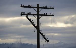 Broken electric pole - Texas power outage