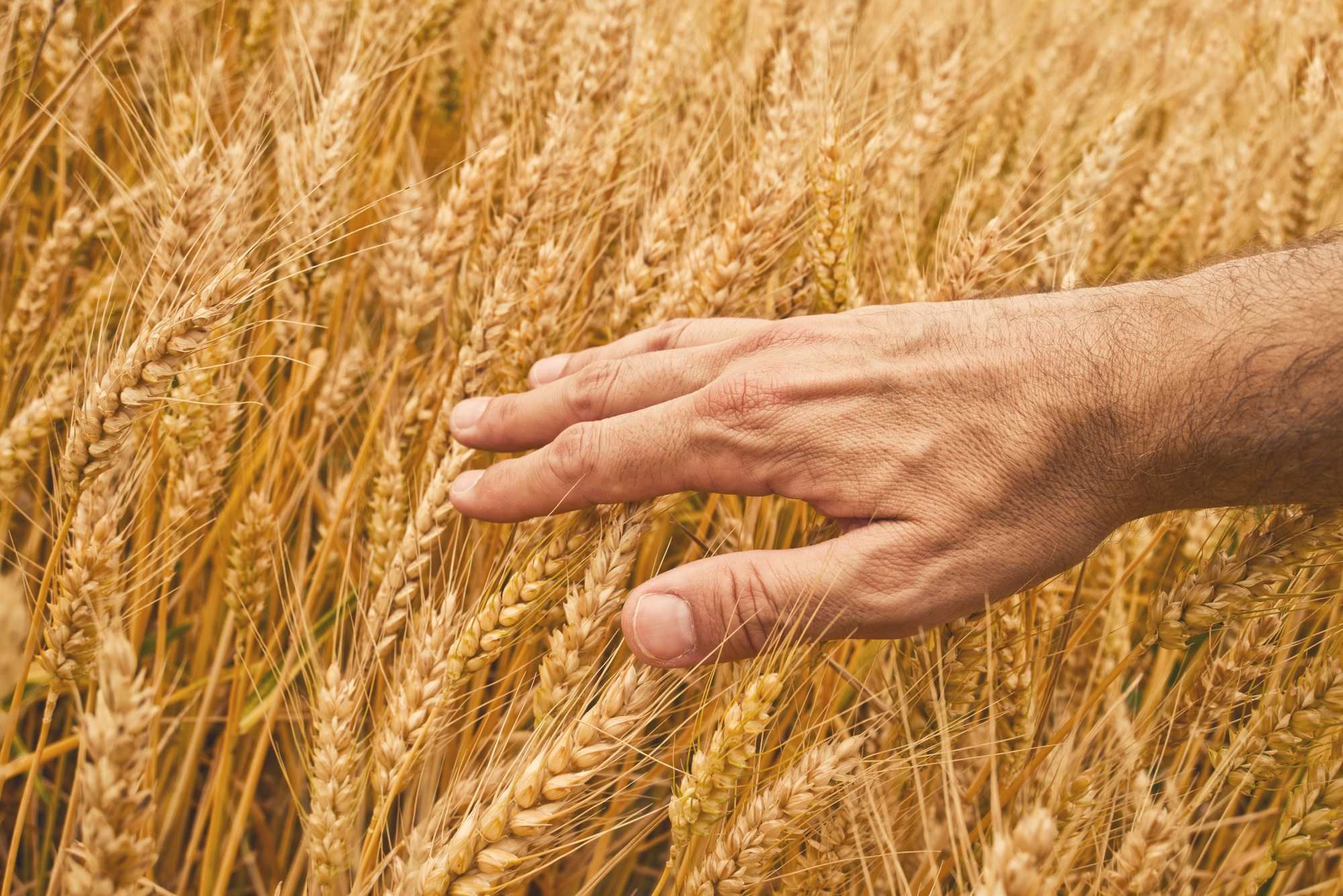A farmer says crop chemical companies conspired to drive up prices.