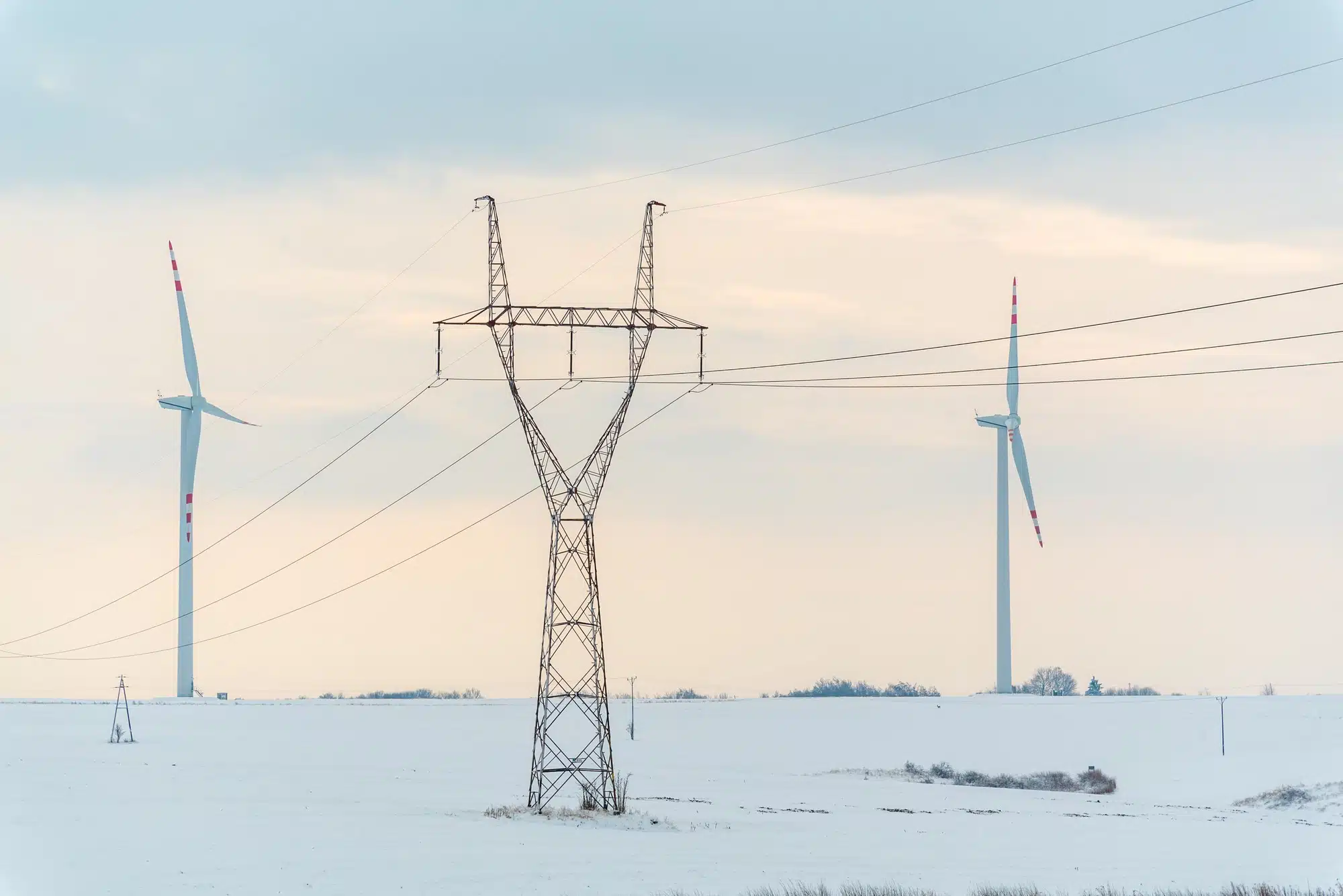 Griddy hit with $1 billion class action over Texas residents' outrageous electric bills