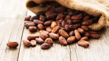 Former child slaves file class action against chocolate makers over forced labor at cocoa farms
