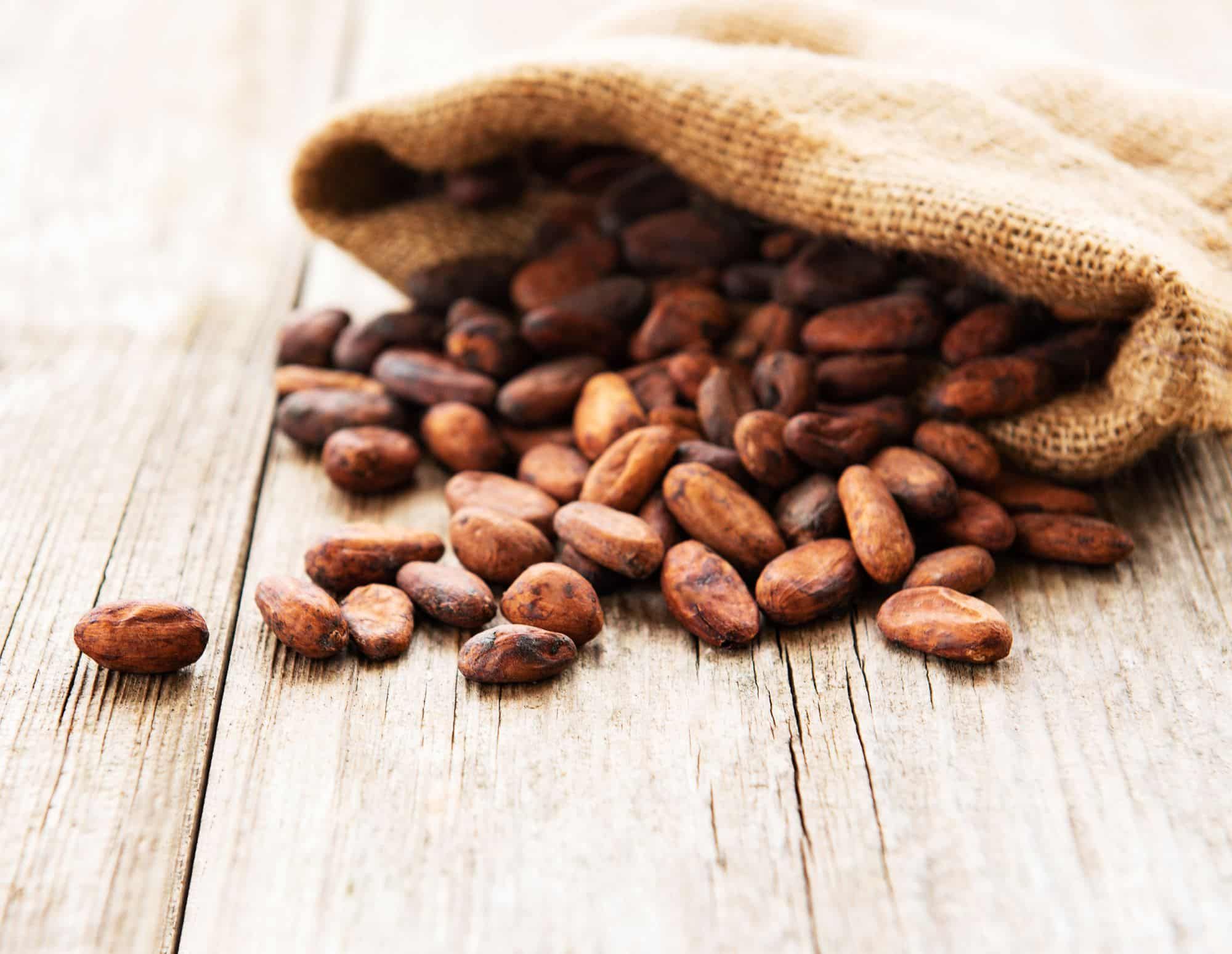 Former child slaves file class action against chocolate makers over forced labor at cocoa farms