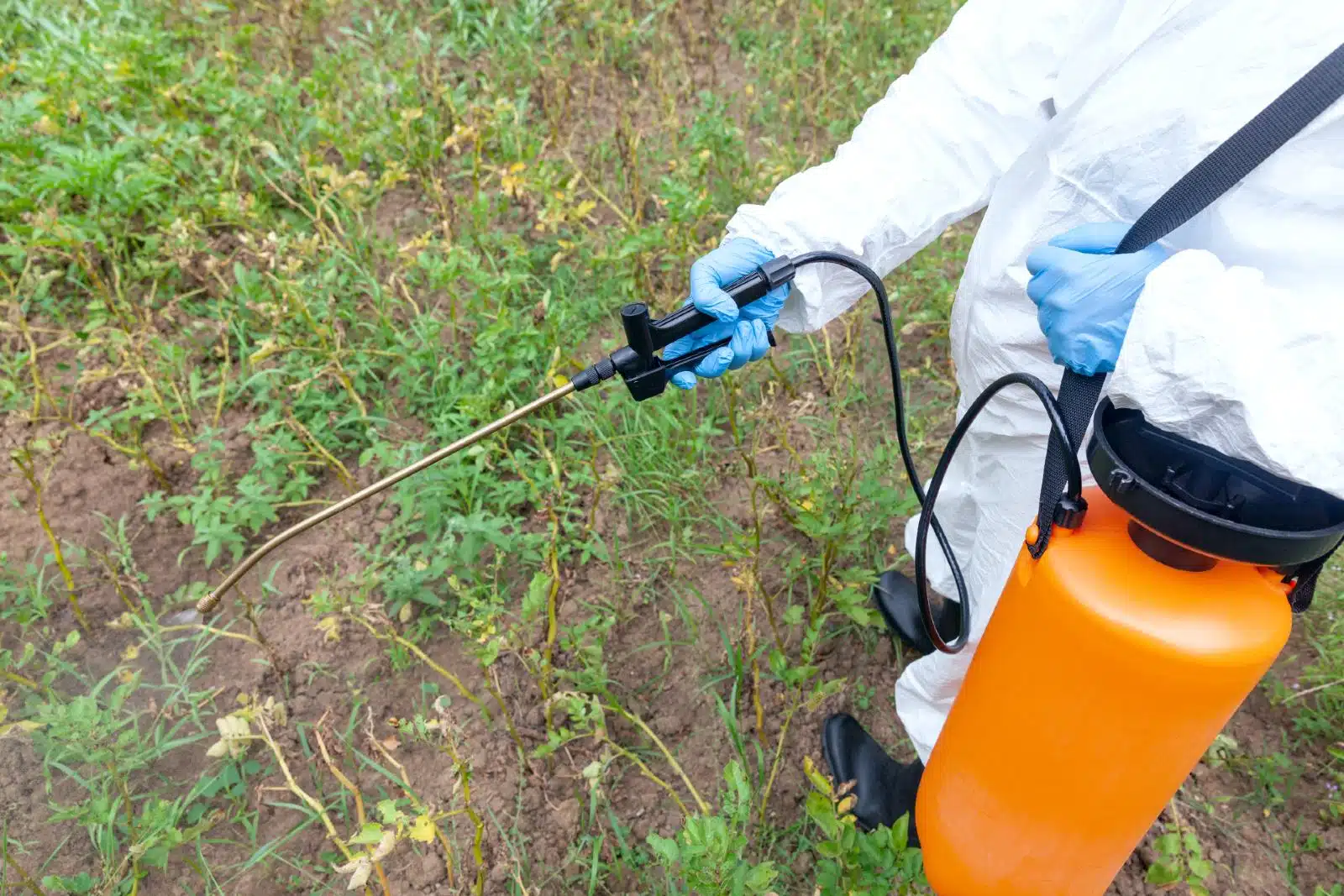 A worker in protective clothing sprays weedkiller from an orange tank - Roundup Monsanto