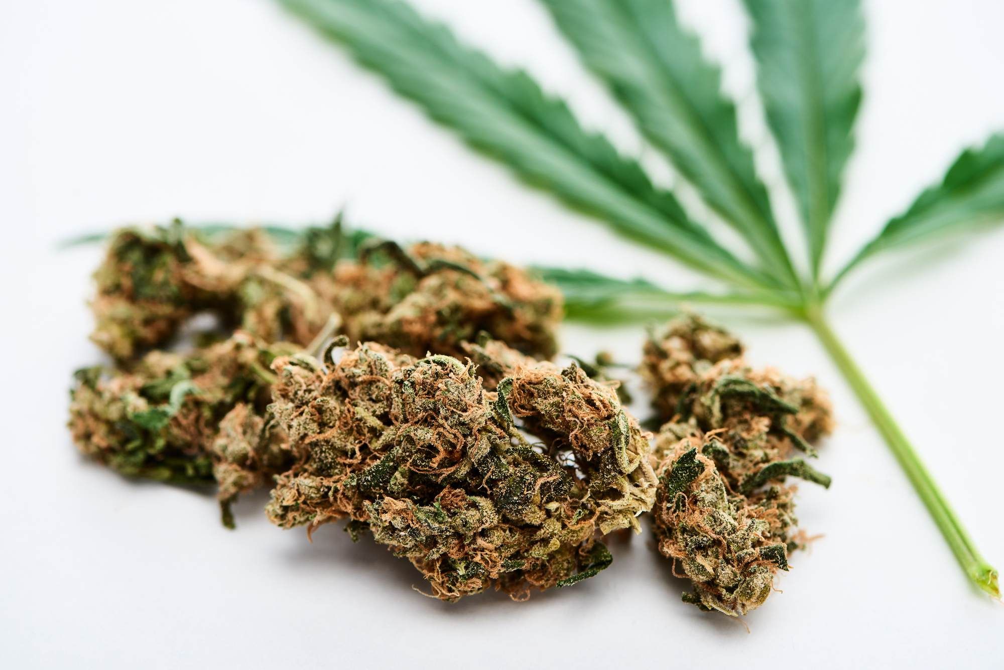 Roots RX is facing a cannabis TCPA class action lawsuit over unwanted spam text messages.