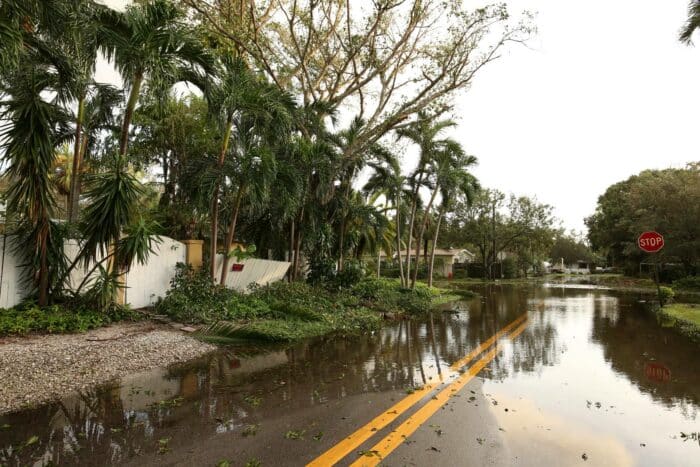 property damage from Tropical Storm Elsa