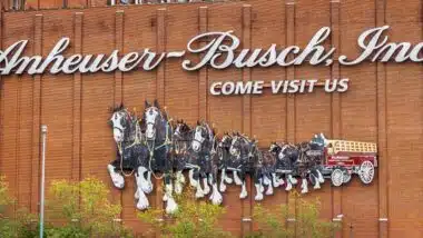 Anheuser-Busch - Vera Suz