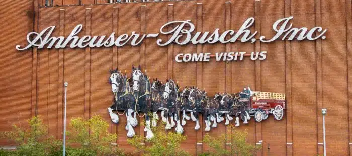 Anheuser-Busch - Vera Suz