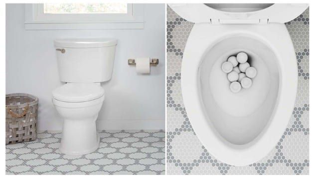 champion toilet