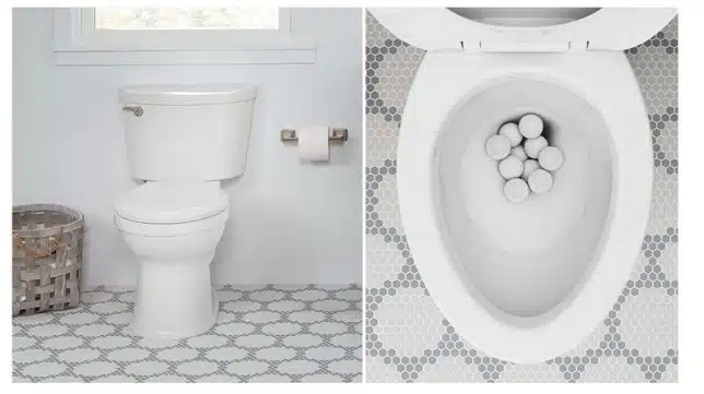 champion toilet