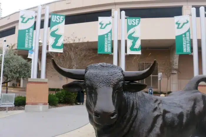 university of south florida, university of south florida online learning.