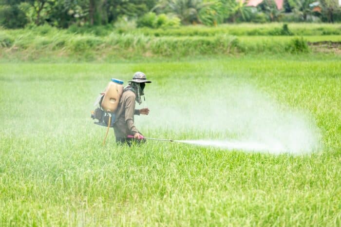 Chlorpyrifos