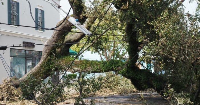Hurricane Ida and Nursing Home Owner
