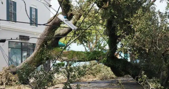 Hurricane Ida and Nursing Home Owner