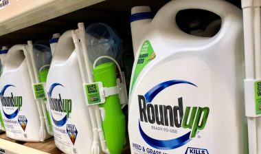 roundup weed killer roundup lawsuit