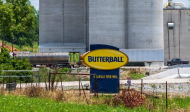 Butterball Medical Marijuana Job Seekers Class Action Lawsuit