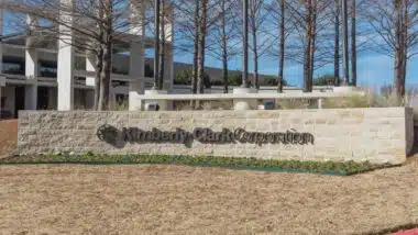 Charleston flushable wipes