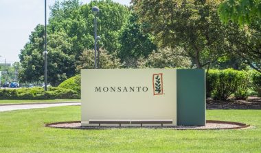 monsanto roundup roundup weedkiller