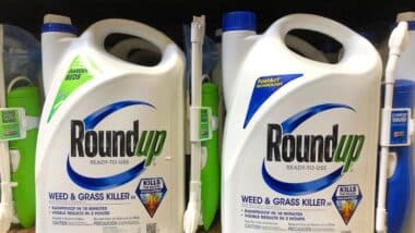 roundup roundup weedkiller