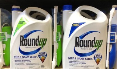 roundup roundup weedkiller