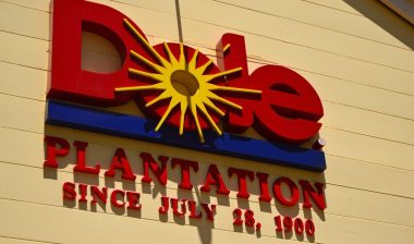 Dole recall